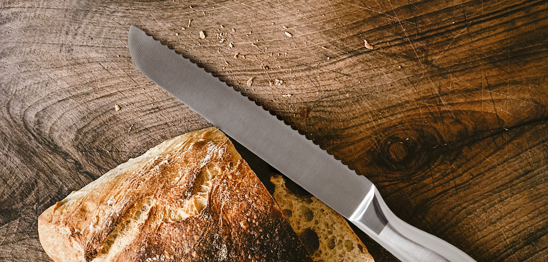 concept.fundo.banner